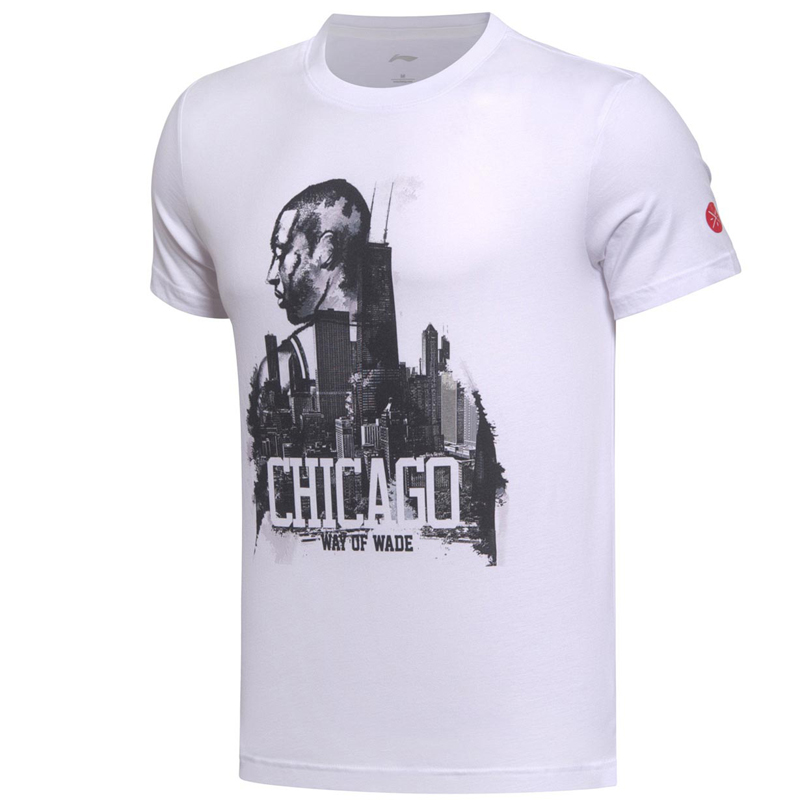 ���� AHSM213-2